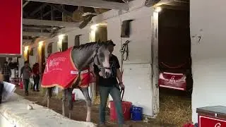 Sandman Walking in Shedrow