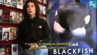 SOSdelfines entrevista a Samantha Berg, ex adiestradora de orcas