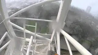 Cranedewd climbs down in the rain