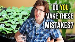 10 Seed Starting Mistakes You Might Be Making!