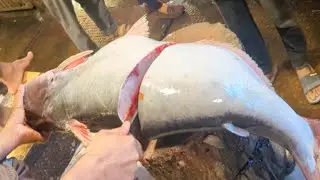 How To Remove Fish Skin | Big Pangas Fish Cutting In Bangladesh