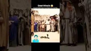 Great Miracle 😱 Prophet Musa Snake Turned Back Into a Staff 🐍 #shorts #musa #miracle #snake