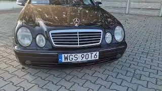 MERCEDES-BENZ CLK55 AMG C208 1999 | CLASSICBOX