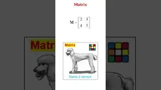 What is a tensor?