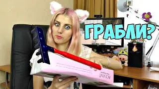 Посылка Dressgal   Грабли для волос :)