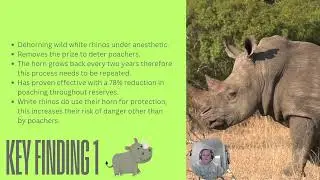 The Impact of Poaching the White Rhino Ceratotherium Simum in South Africa - KR