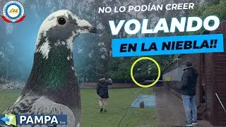 PALOMAS LLEGANDO ENTRE LA NIEBLA! FINAL BIO PARQUE (OPERACIÓN PALOMA MENSAJERA)