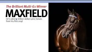 🇺🇸🤩 #Maxfield! He&rsquo;s sired 5️⃣ million-dollar sales horses from his first crop!
