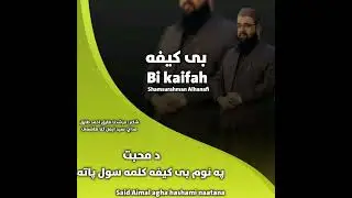 د محبت په نوم بی کیفه کلمه سول پاته//شاعر//مرشدنا طارق احمد طارق//مداح//سیدایمل اغا هاشمی