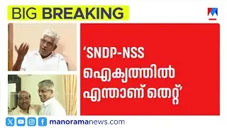 'ശത്രുക്കളെ ഉണ്ടാക്കുന്നത് സതീശൻ; തിരഞ്ഞെടുപ്പിൽ കോൺഗ്രസിന് 'അടി' കിട്ടുമെന്ന് സുകുമാരൻ നായർ' | NSS