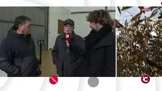 DIRECTO #Madrid: Programa especial FITUR 2025