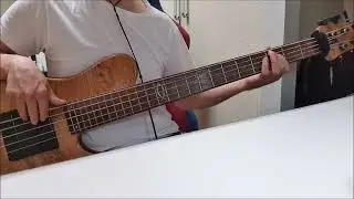 Marco Antonio Solís - Si No Te Hubieras Ido (bass cover)