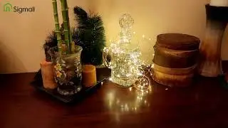 2m 20LED Battery Operated Button Copper Wire String Fairy Light