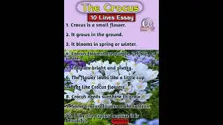 10 Lines Essay on The Crocus in English | Easy English Essay for Kids | Class 1 to 3 @CarryOn-360