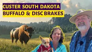 Exploring Custer, SD in Our Brinkley Z3100 | BBQ, Buffalo, & Brew | RV Disc Brakes | RVing Midlife