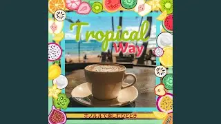 Lush Rainforest Melody