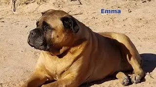 Emma