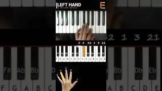 E Major Scale with Fingers Position for Keyboard/Piano Daily Practice and Training Exercise #Shorts