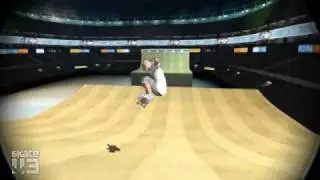 Skate 3 Triple Backflip 1260