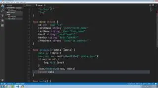 parsing json golang