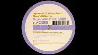 Patrick Turner &ndash; Organica (That Place) (Original Mix)