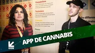 EMPREENDEDORISMO NO MERCADO DE CANNABIS