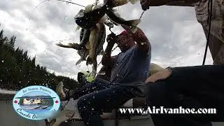 The Best Fly In Fishing Trips - Northern Canada - Air Ivanhoe - Wilderness Wildlife and Walleye