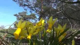 Litlington - 25 Mar 2012