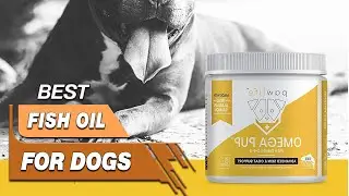 Top 5 Best Fish Oil For Dogs To Buy In 2003 - Review And Buying Guide