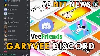 Exclusive GaryVee on Discord Speaking About Future of VeeFriends After Pushing 5/5 Drop - NFT News