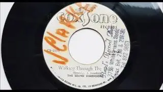 Sound Dimension Walking Through The Door