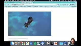 LMS walkthrough