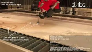 Apavisa Linetops cutting