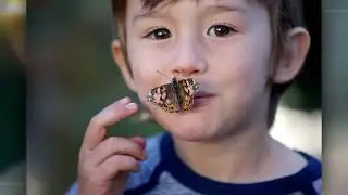 STEAM Series: Insect Breeder