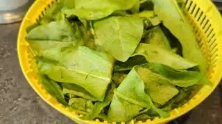Sorrel Soup is easy to make@urbangardenercanada