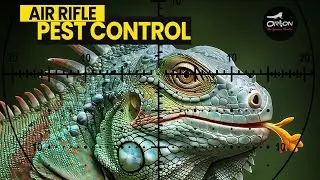 The Green Iguana Battle: Air Rifles vs. Home Invaders!