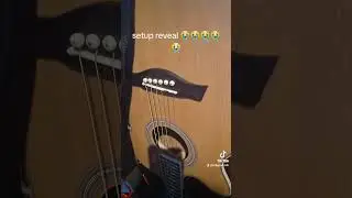 real af #guitar #guitarmusic #fender #guitartabs #metal #redgrave