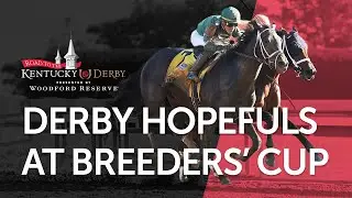 Road to the Kentucky Derby 149 | Breeders' Cup Preview