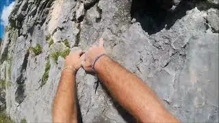 Parete Limar&oacute;-Moonbears (6), Piccolo Dain, Sarche