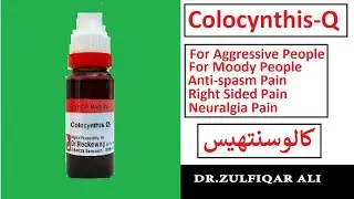 Colocynthis | Action | Doses | کالوسنتھیس | Explained in Urdu/Hindi