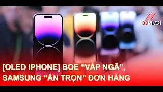 [OLED iPhone] BOE “Vấp Ngã”, Samsung “Ăn Trọn” Đơn Hàng | DDN tổng hợp