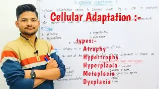 Cellular Adaptation(In hindi) :-hyperplasia, hypertrophy, atrophy & metaplasia in pathology!!