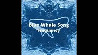 Seeing Sound: Blue Whale Frequency 🐋🌊 #shorts #bluewhale #science #physics #ocean