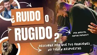 RUIDO O RUGIDO || Todo es posible