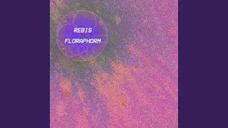 Ribis