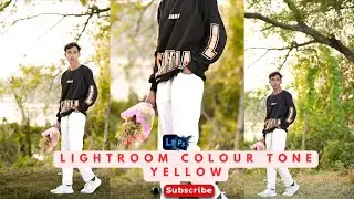 Yellow Tone // Lightroom Photo Editing / Lightroom Preset Download / 2025