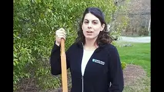 10 Tips for Doing Yardwork