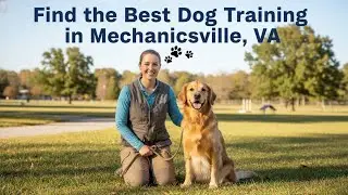 Find the Best Dog Training in Mechanicsville   VA Virginia