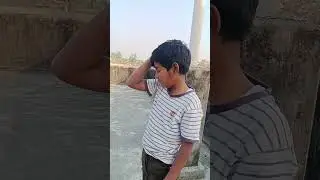kabutar Mini vlog 🕊️#minivlog #pigeon