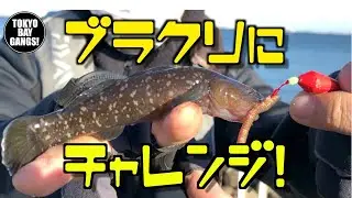 【誰でも釣れる】楽しい！簡単！ブラクリ釣りに挑戦！高洲海浜公園 TOKYO BAY GANGS!